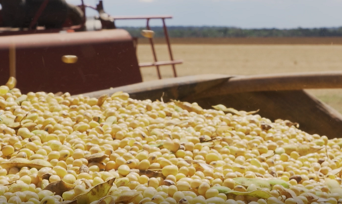 Guerras comerciais, sanções e conflitos colocam agronegócio brasileiro diante de nova ordem global